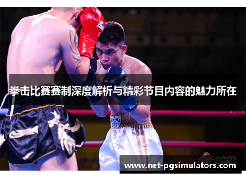 拳击比赛赛制深度解析与精彩节目内容的魅力所在