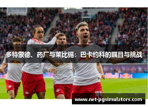 多特蒙德、药厂与莱比锡：巴卡约科的瞩目与挑战