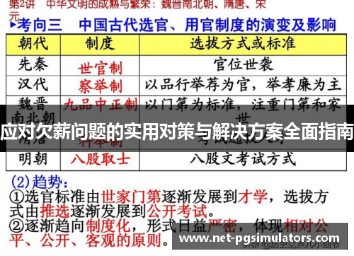 应对欠薪问题的实用对策与解决方案全面指南