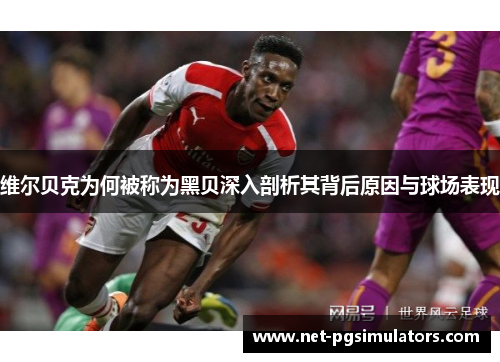 维尔贝克为何被称为黑贝深入剖析其背后原因与球场表现