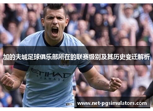 加的夫城足球俱乐部所在的联赛级别及其历史变迁解析 加的夫城足球俱乐部所在的联赛级别及其历史变迁解析