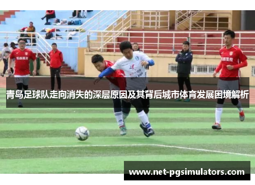 青岛足球队走向消失的深层原因及其背后城市体育发展困境解析