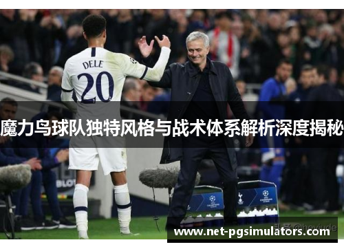 魔力鸟球队独特风格与战术体系解析深度揭秘