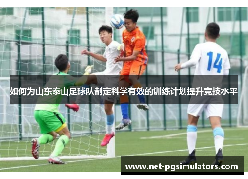 如何为山东泰山足球队制定科学有效的训练计划提升竞技水平