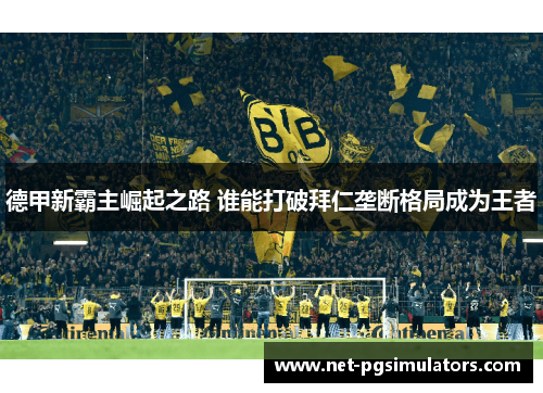 德甲新霸主崛起之路 谁能打破拜仁垄断格局成为王者